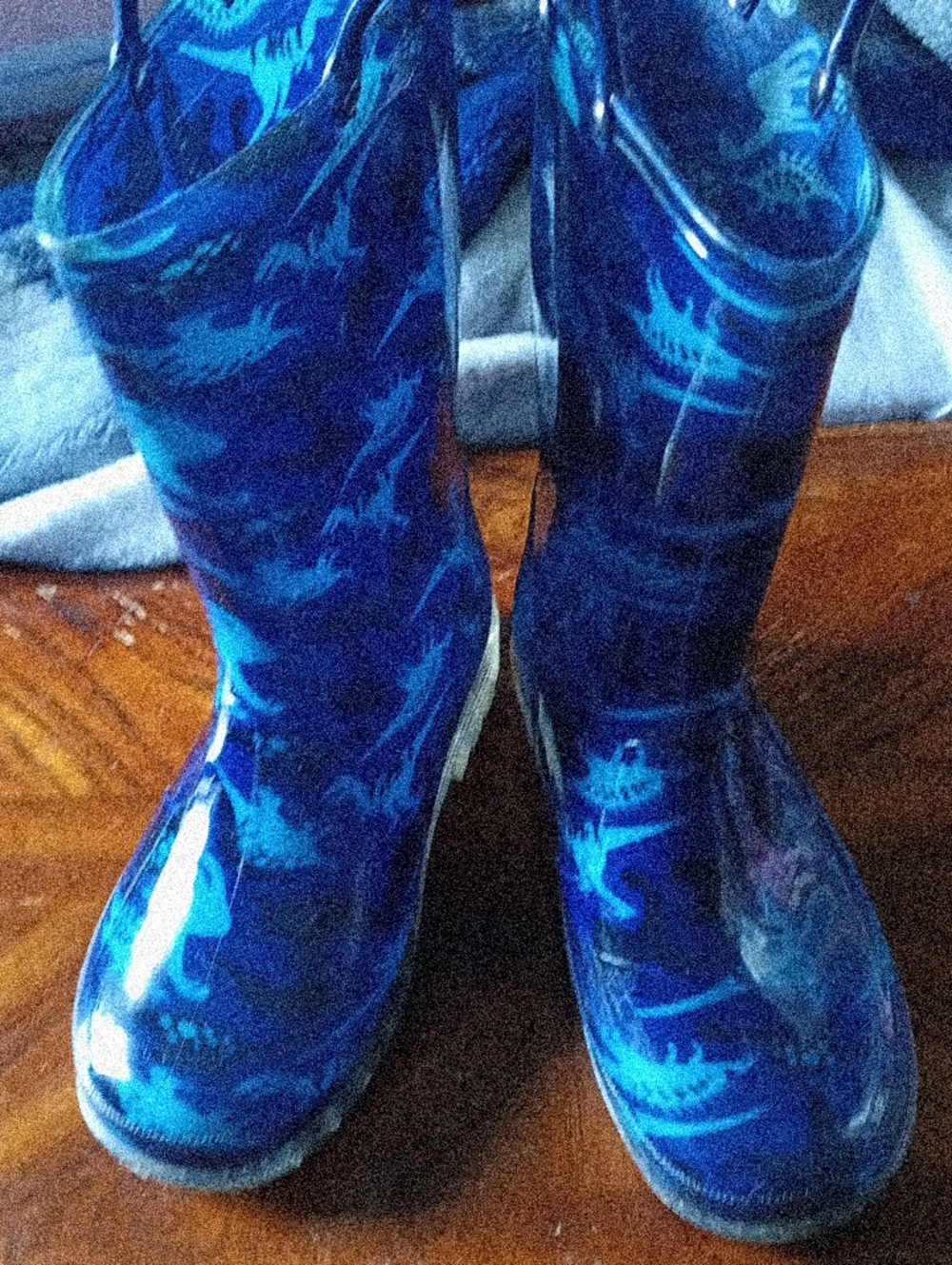 Kids Blue Dinosaur Rain Boots
